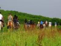 Equiraduni Fitertec, domani cavalli in Vaticano Equiraduni Fitertec, domani cavalli in Vaticano